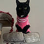 black_cat, cat, pet, animal, feline, sweater, pink_sweater, cat_tree, plush, indoor, holiday, tinsel, curious, cute, sitting, portrait, pet_clothing, furry, whiskers, ears