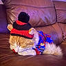 cat, orange_cat, sleeping, hat, knitted_hat, pom_pom, sweater, blue_sweater, red_sweater, couch, leather_couch, indoor, pet, cozy, resting, fur, whiskers, cute, animal, domestic_animal