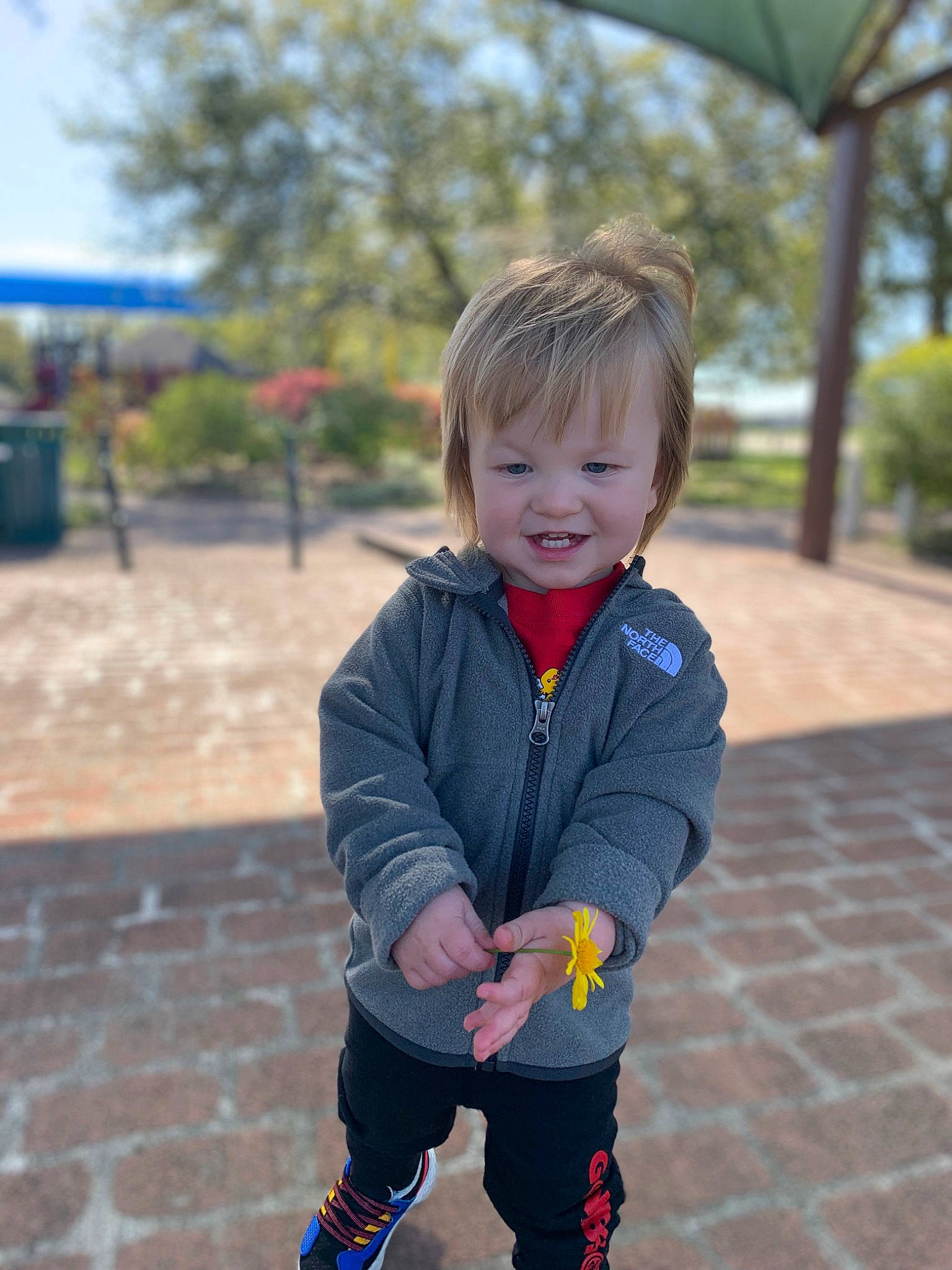 John is registered to the contest to win money with this photo: baby, baby_toddler_clothing, child, city, electric_blue, fun, grass, happy, jacket, leisure, pattern, person, plant, recreation, sitting, sleeve, smile, spring, toddler, tree