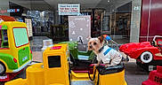 Zeus is registered to the contest to win money with this photo: amusement, bright_lighting, dog, floor, glass_window, green, indoor, kiddie_ride, leash, mannequin, pet, red, reflection, seat, shopping_mall, storefront, sweater, toy_car, yellow, yorkshire_terrier