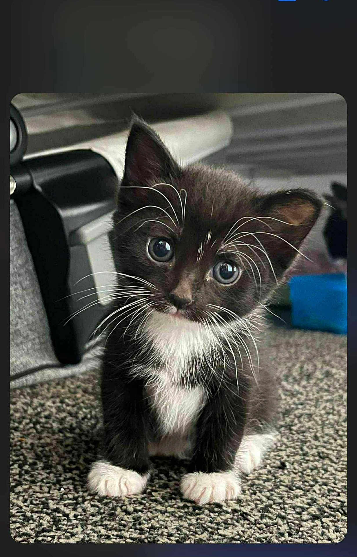 Salem