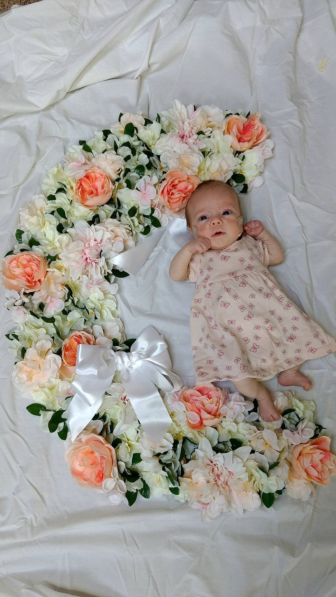 Cedar joined the competition — help win amazing prizes! bridal_clothing, bride, bridesmaid, cut_flowers, floral_design, floristry, flower, flower_arranging, flower_bouquet, flower_girl, flowering_plant, garden_roses, gown, petal, rose, rose_family, rose_order, textile, wedding_ceremony_supply, wedding_dress