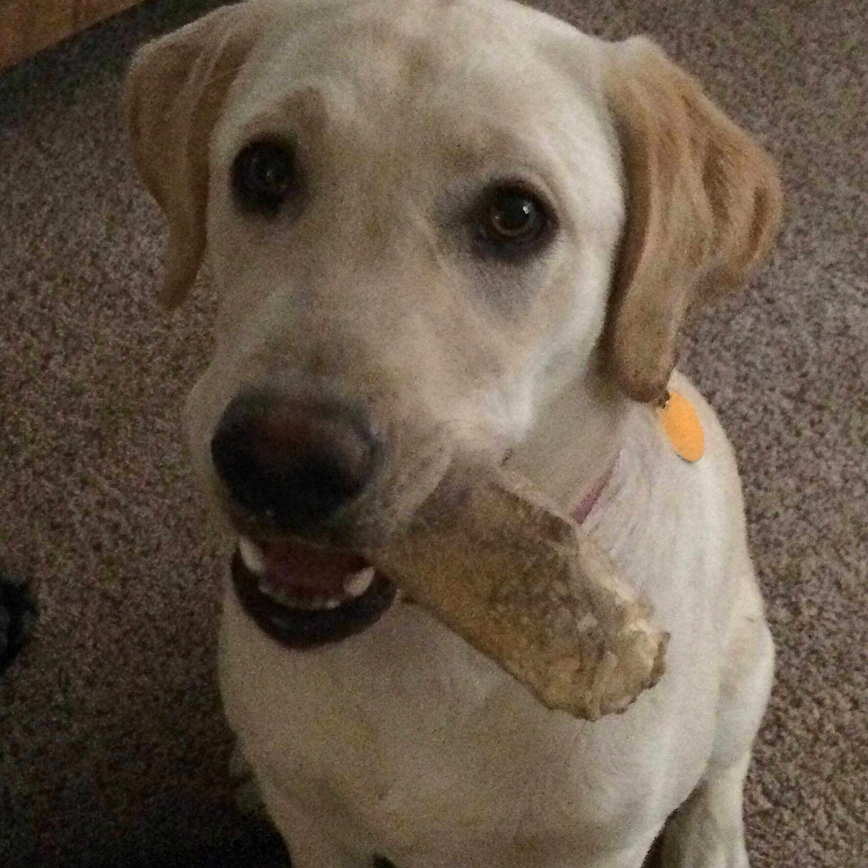 Shiloh is registered to the contest to win money with this photo: