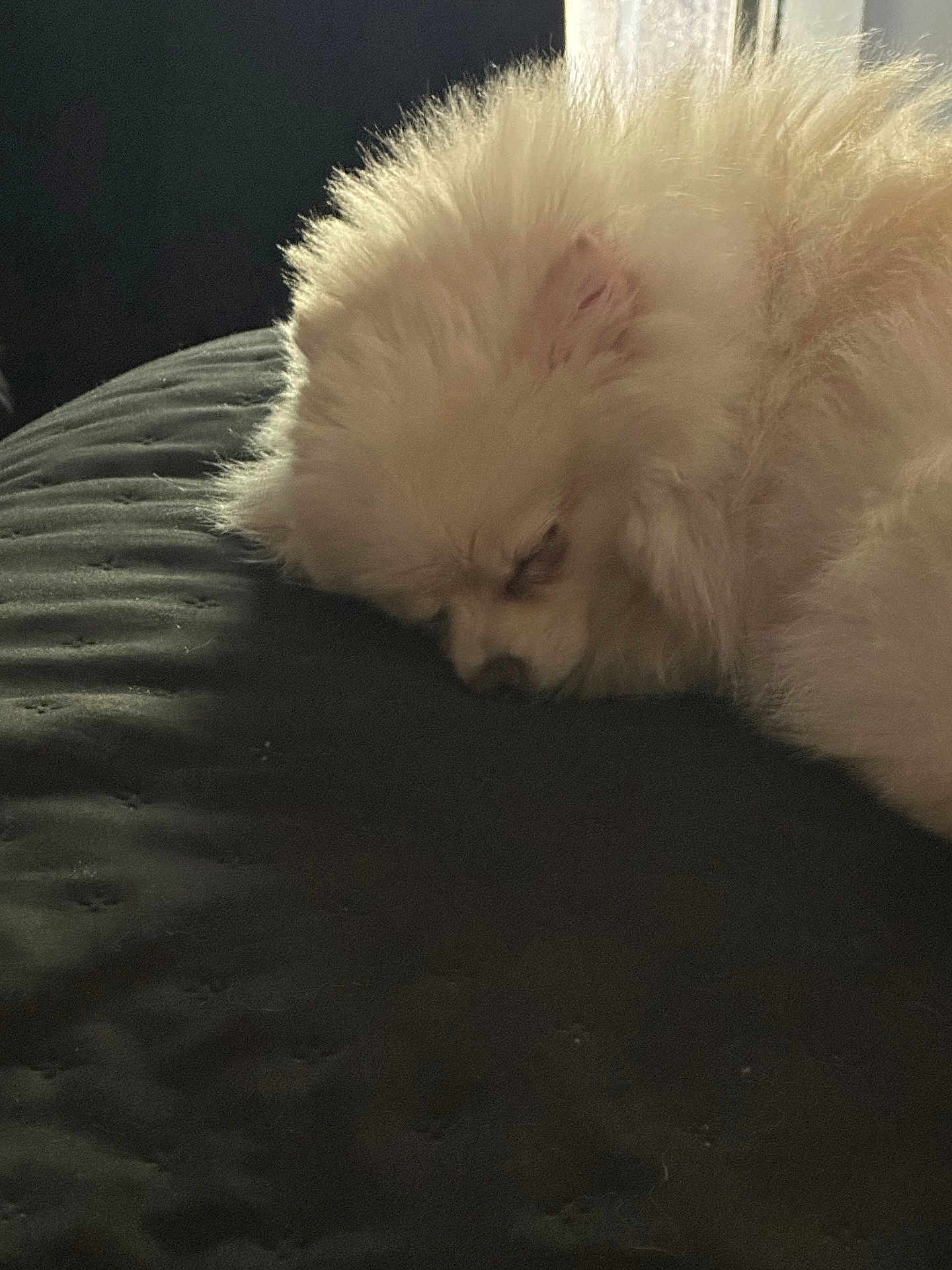 Tiny