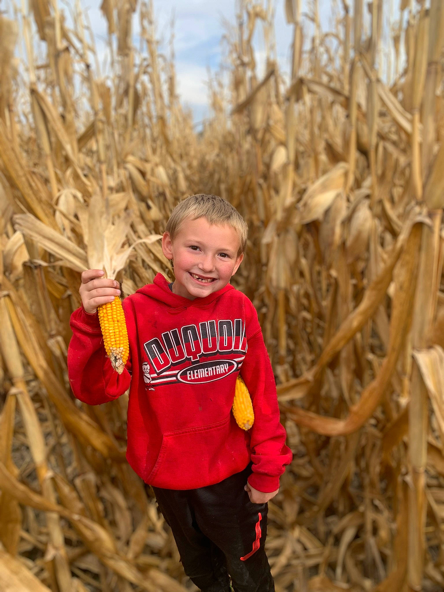 Adrian is registered to the contest to win money with this photo: agriculture, crop, event, field, fun, grass, grass_family, happy, harvest, hay, joy, people_in_nature, person, plant, plantation, poales, sky, smile, soil, straw