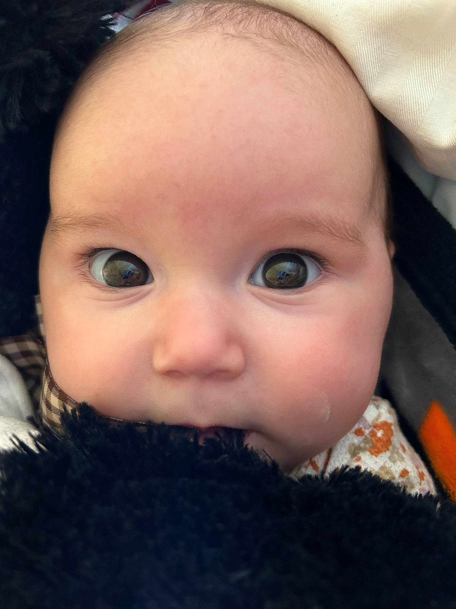 Alaïa is registered to the contest to win money with this photo: baby, baby_toddler_clothing, beauty, cheek, child, chin, close_up, ear, eyebrow, eyelash, flash_photography, forehead, fur, iris, lip, mouth, nose, person, skin, toddler