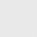 Choupette participe au concours pour gagner de l'argent avec cette photo : black, black_and_white, font, line, product, sky, white