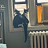 Freckles And Streak joined the competition — help win amazing prizes! cats, two_cats, black_and_white, window, windowsill, indoor, home, radiator, sunlight, portrait, pet, feline, sitting, tail, cozy, vintage, room, backlight, domestic_animals, candid