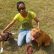 Victoria Bowser joined the competition — help win amazing prizes! animal, brown_dog, canine, casual, dog, friendship, grass, happy, jeans, leash, nature, outdoor, panting, person, pet, playful, summer, sunglasses, sunlight, yellow_shirt
