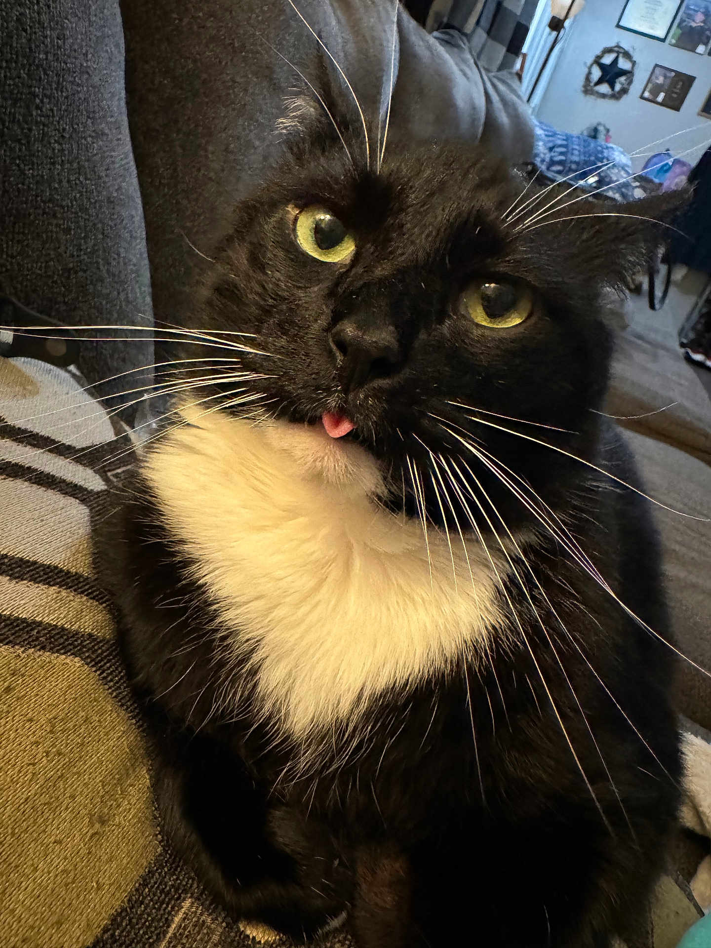 Milo