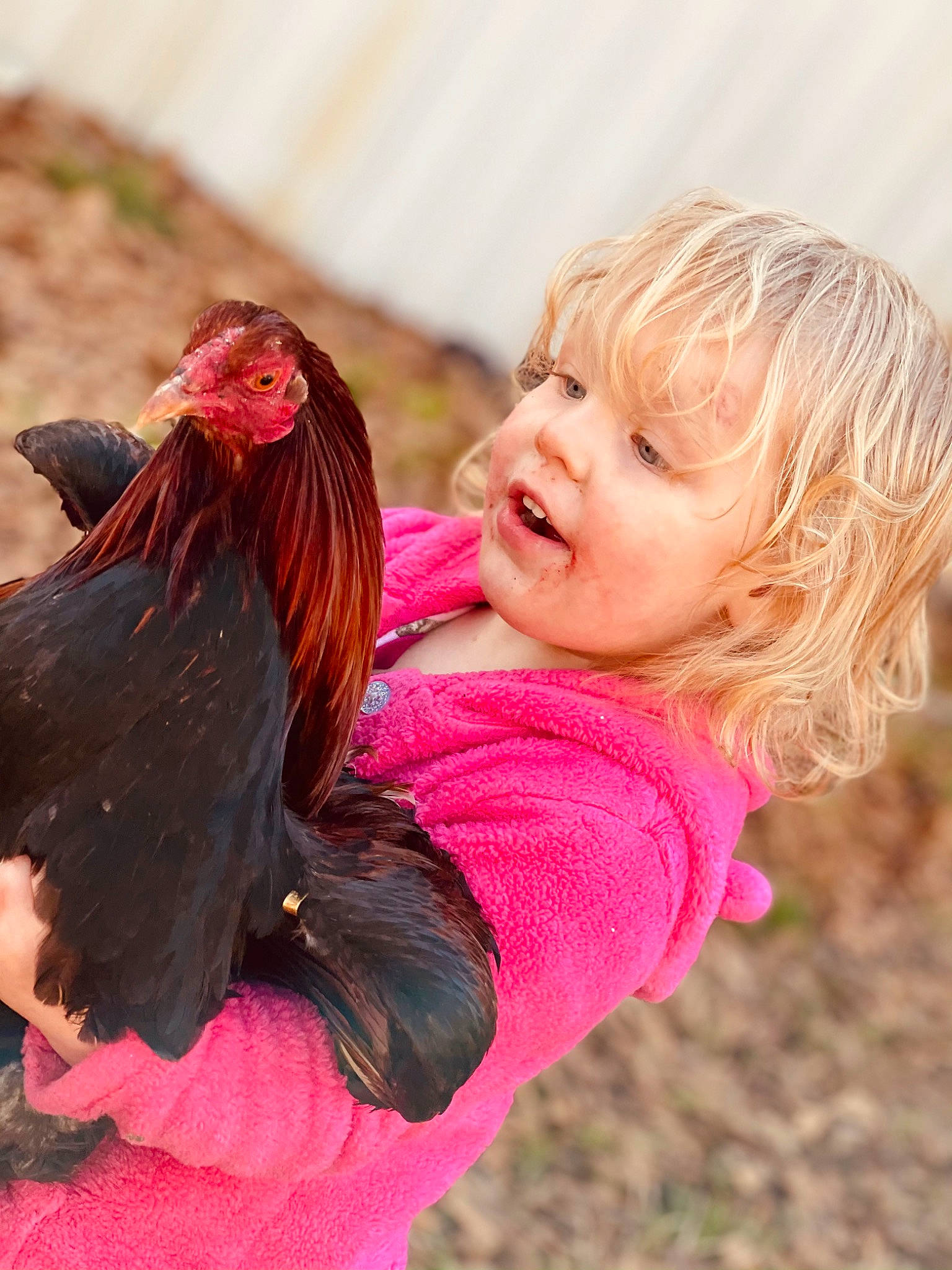 Layla is registered to the contest to win money with this photo: bird, chicken, child, dress, eye, facial_expression, fun, gesture, grass, hair, happy, jeans, leisure, mammal, people_in_nature, person, pink, skin, smile, sunlight