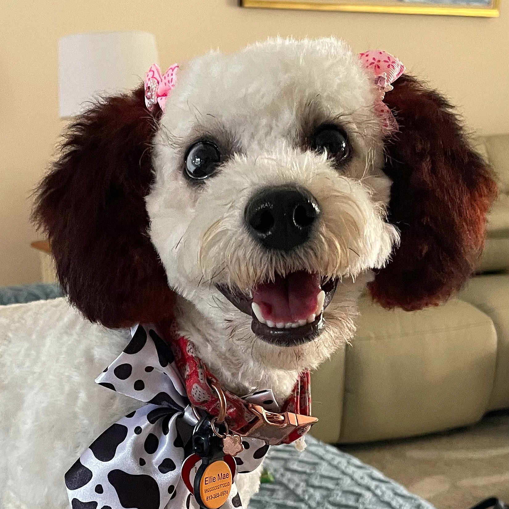 Ellie Mae