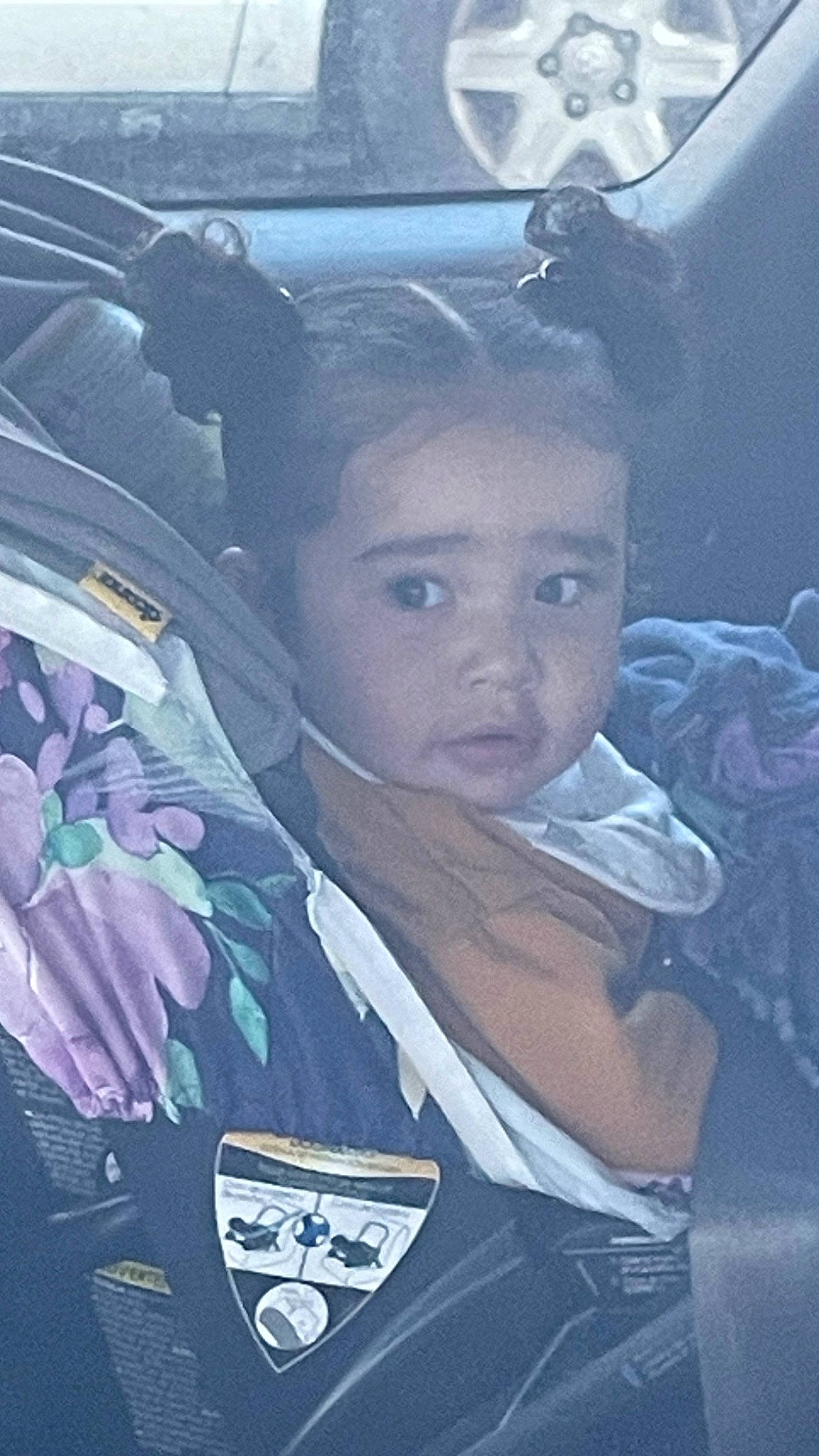 Kendal is registered to the contest to win money with this photo: auto_part, automotive_window_part, black_hair, car, car_seat, child, cool, electric_blue, family_car, forehead, fun, happy, motor_vehicle, person, plant, t_shirt, tints_and_shades, toddler, tree, vehicle_door