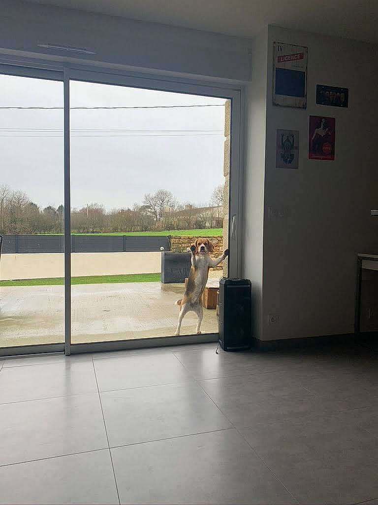 Pyta a rejoint le concours — aidez-le/la à gagner de superbes lots ! automotive_exterior, building, ceiling, concrete, door, fixture, floor, flooring, glass, hardwood, house, plant, room, shade, sky, tints_and_shades, tree, vehicle_door, window, wood