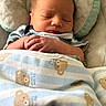 Waylan is registered to the contest to win money with this photo: newborn, baby, sleeping, blanket, teddy_bear, striped, pillow, infant, peaceful, closeup, soft, cute, resting, child, portrait, wrapped, hand, skin, indoors, cozy