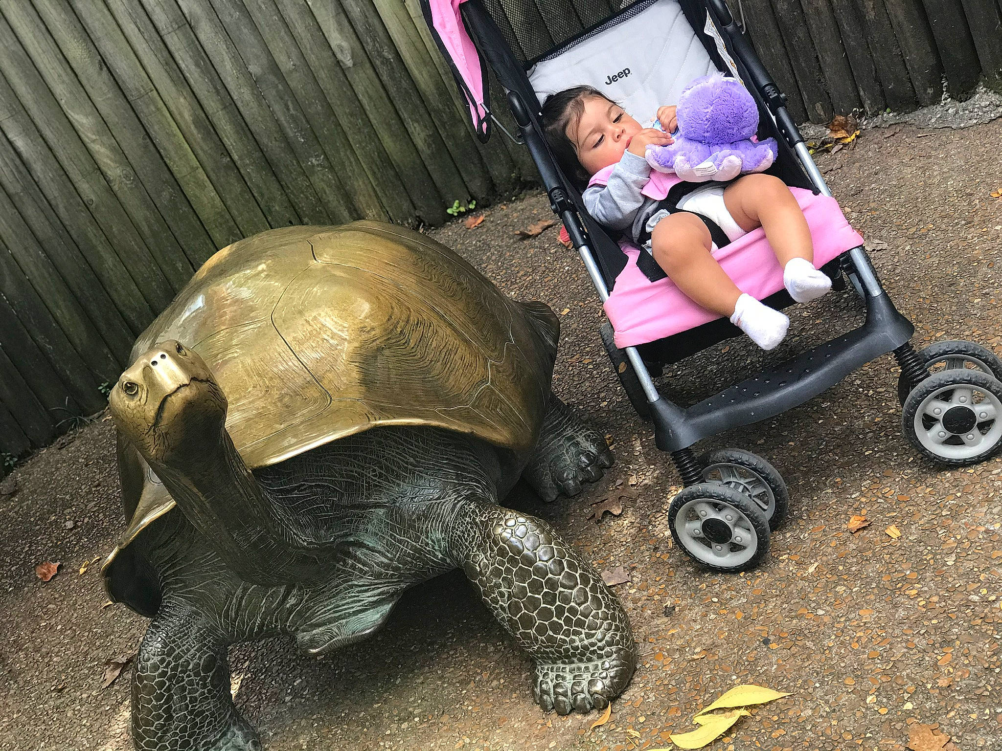 Jocelynn is registered to the contest to win money with this photo: auto_part, automotive_design, automotive_tire, automotive_wheel_system, baby_products, event, geoemydidae, metal, motor_vehicle, person, reptile, riding_toy, rolling, sea_turtle, terrestrial_animal, tire, toddler, tortoise, toy, turtle