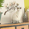 animal, cabinet, cat, curious, decor, domestic_cat, ears, eyes, flower_decal, furniture, home, indoor, pet, plant, portrait, sitting, tabletop, vase, white_cat, wood