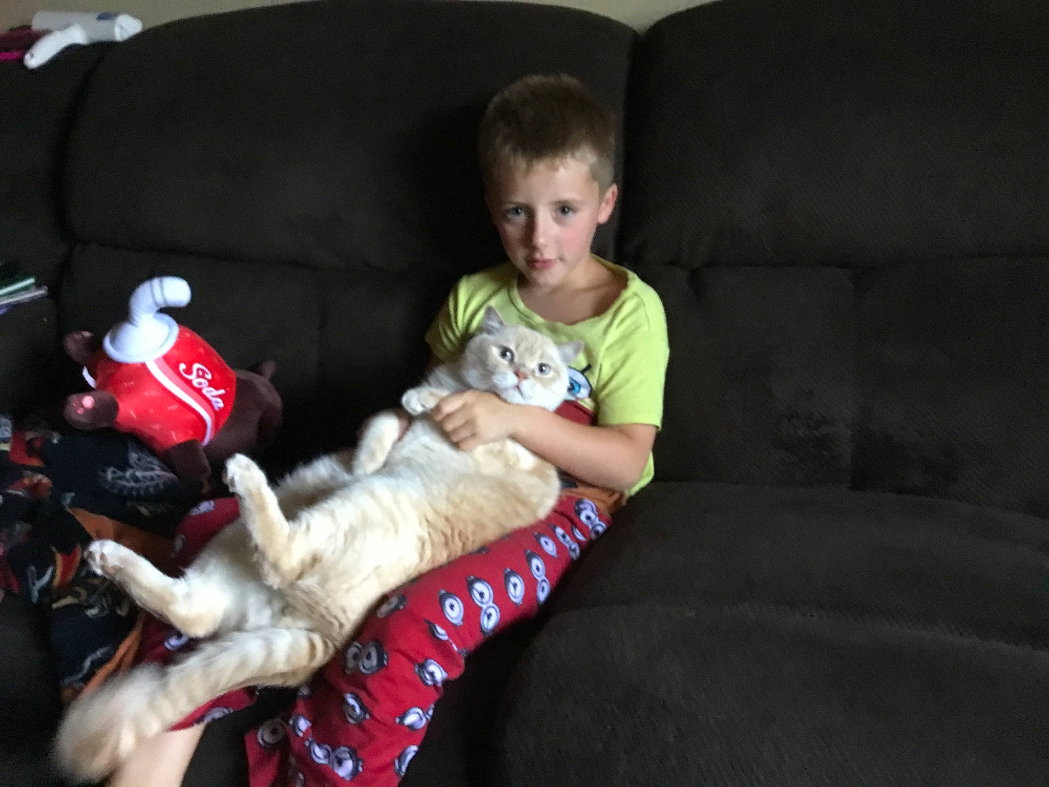 Milo joined the competition — help win amazing prizes! baby, canidae, carmine, carnivore, child, comfort, companion_dog, couch, dog_breed, fawn, fun, human_leg, lap, sitting, sporting_group, stuffed_toy, t_shirt, thigh, throw_pillow, toddler