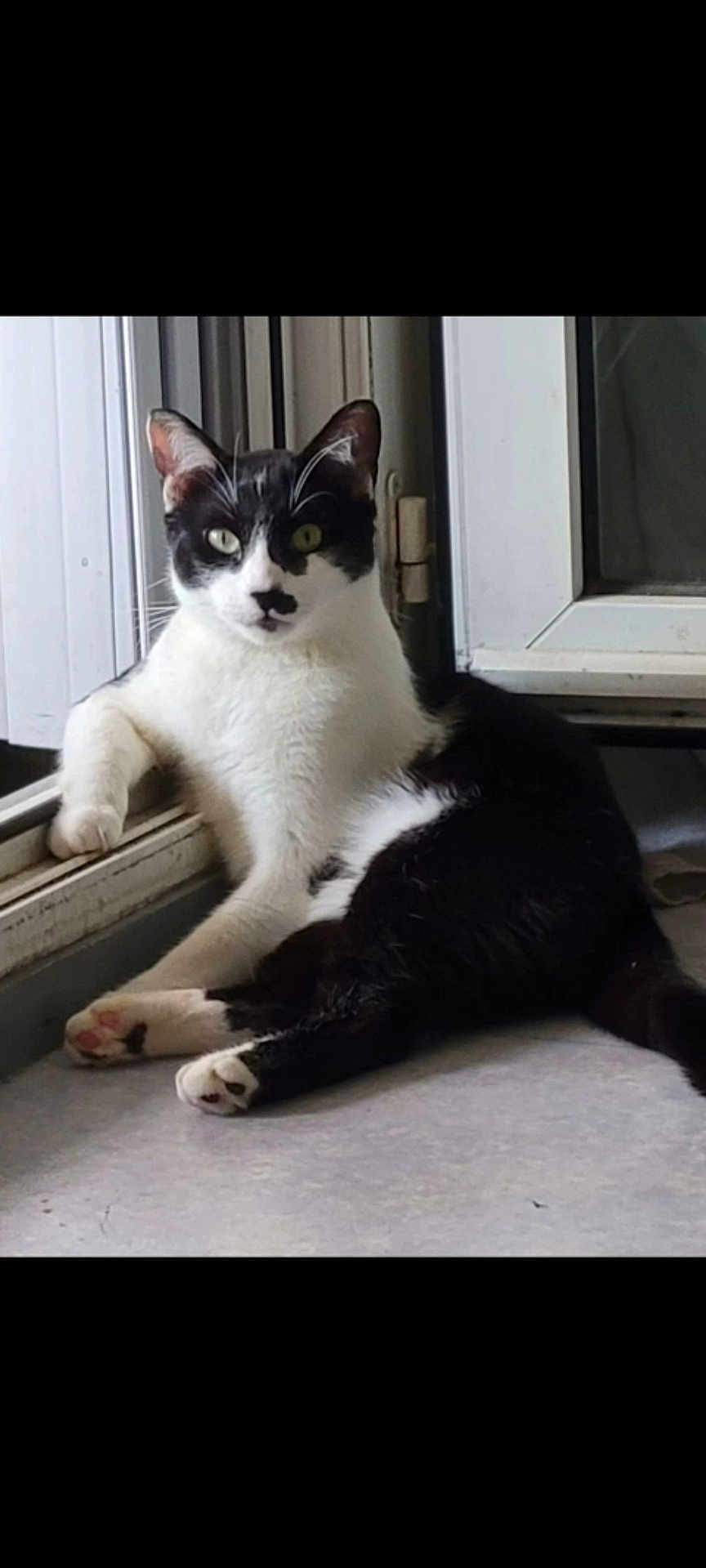 Oreo