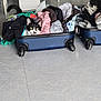 cat, suitcase, clothes, floor, black_and_white, tail, indoor, packing, travel, pet, curious, soft_fabric, colorful, bag, zipper, household, domestic, feline, resting, compact