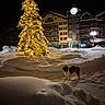 dog, snow, winter, christmas_tree, holiday_lights, night, alpine_village, mountains, clocktower, buildings, street, outdoor, festive, illuminated, snowdrift, christmas, architecture, cold_weather, landscape, pet