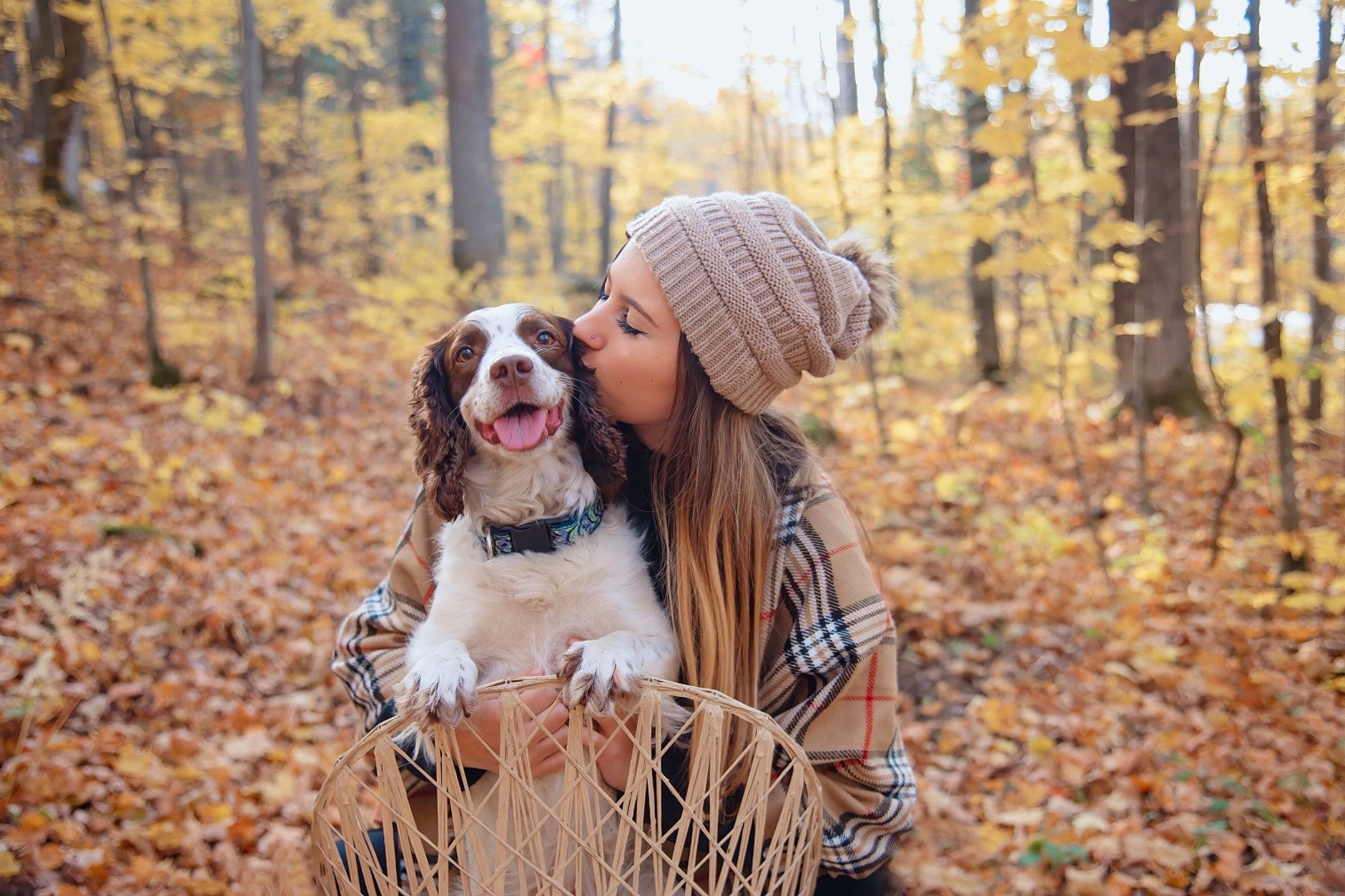 Cabela is registered to the contest to win money with this photo: blond, cap, carnivore, companion_dog, dog, dog_breed, fawn, forest, fur, grass, happy, leaf, people_in_nature, plant, recreation, street_fashion, sunglasses, tree, winter, wood