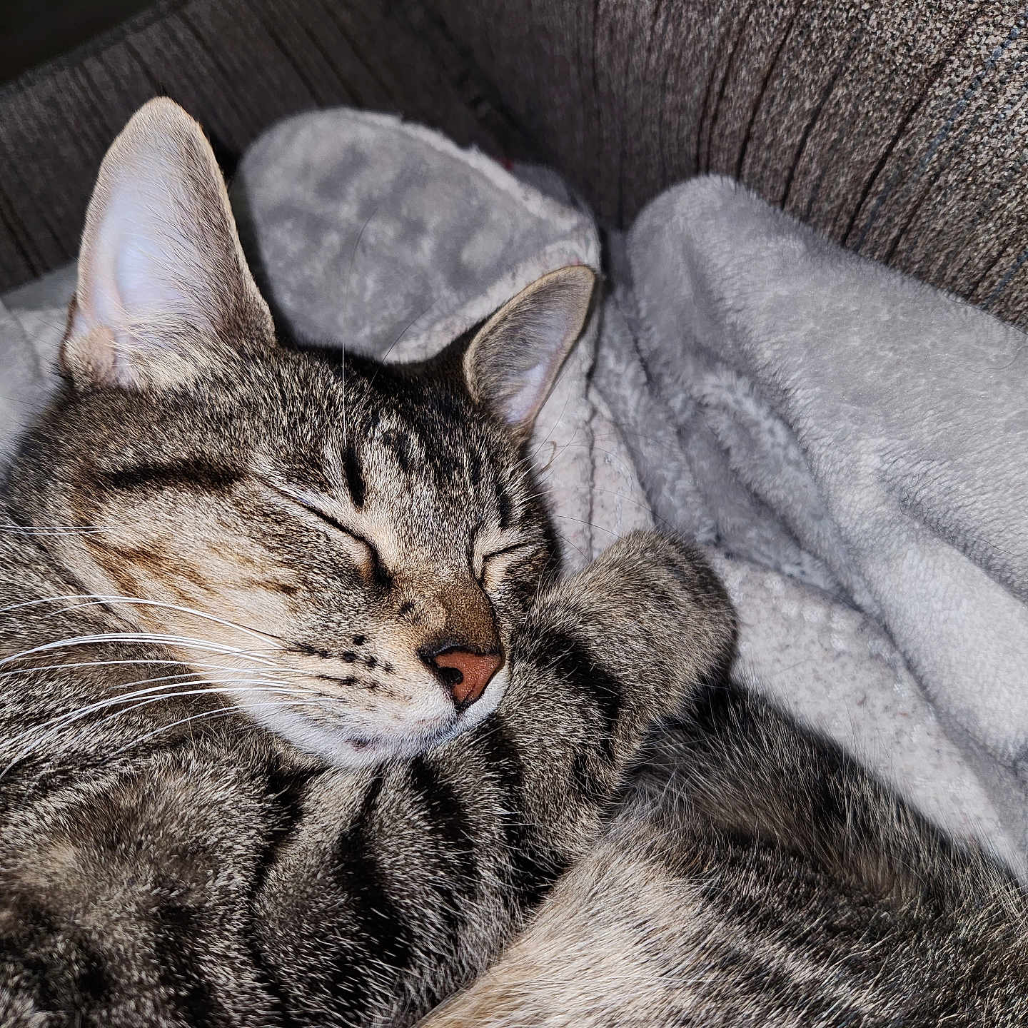 Ella