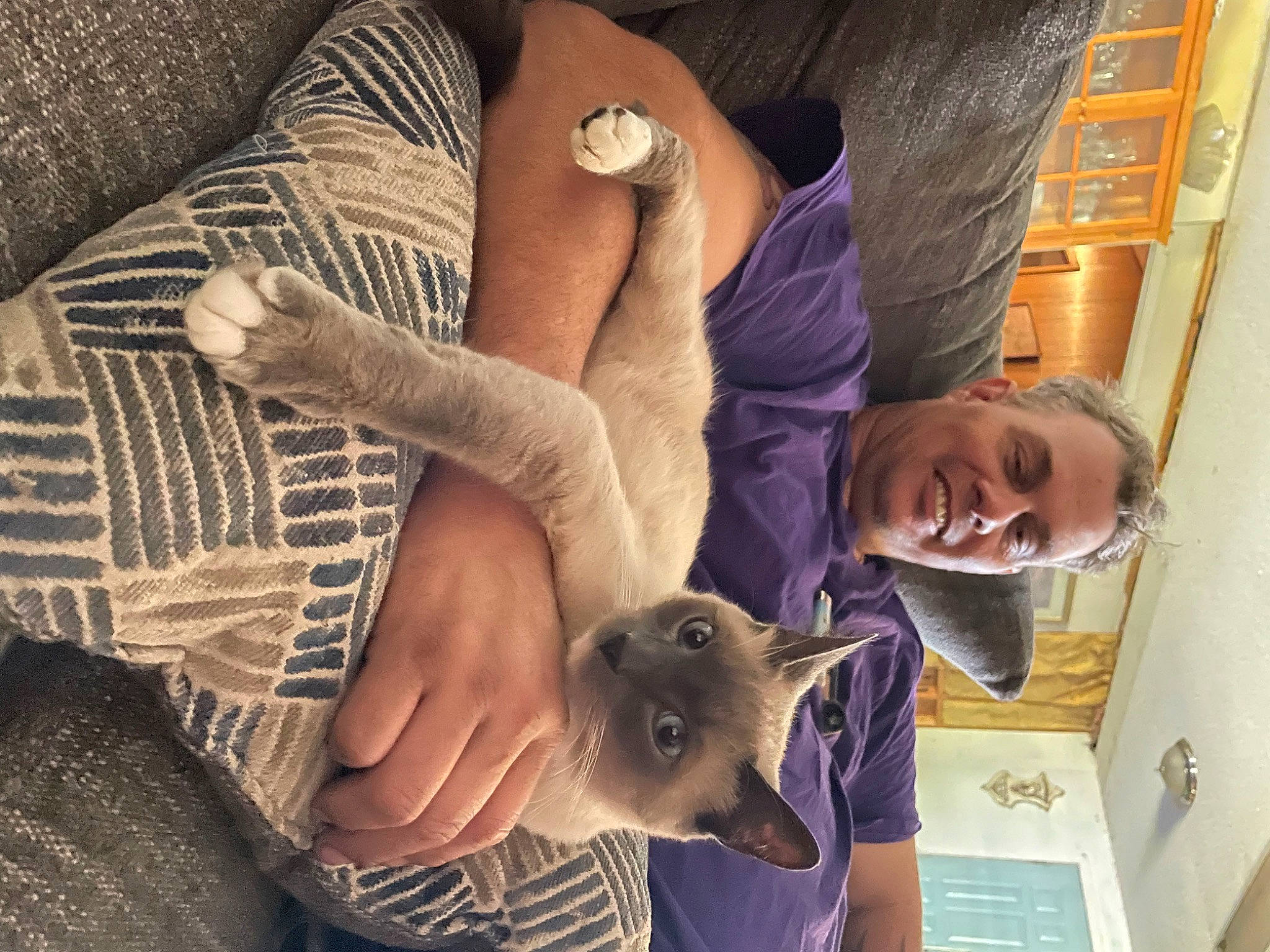 Kitten is registered to the contest to win money with this photo: child, comfort, companion_dog, couch, elbow, eyewear, felidae, fur, gesture, hand, human_leg, nail, pattern, room, sitting, small_to_medium_sized_cats, thigh, tree, whiskers, wrist