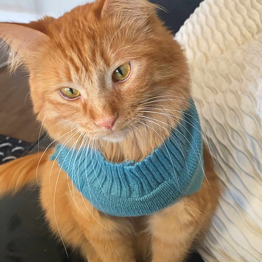 Peanut