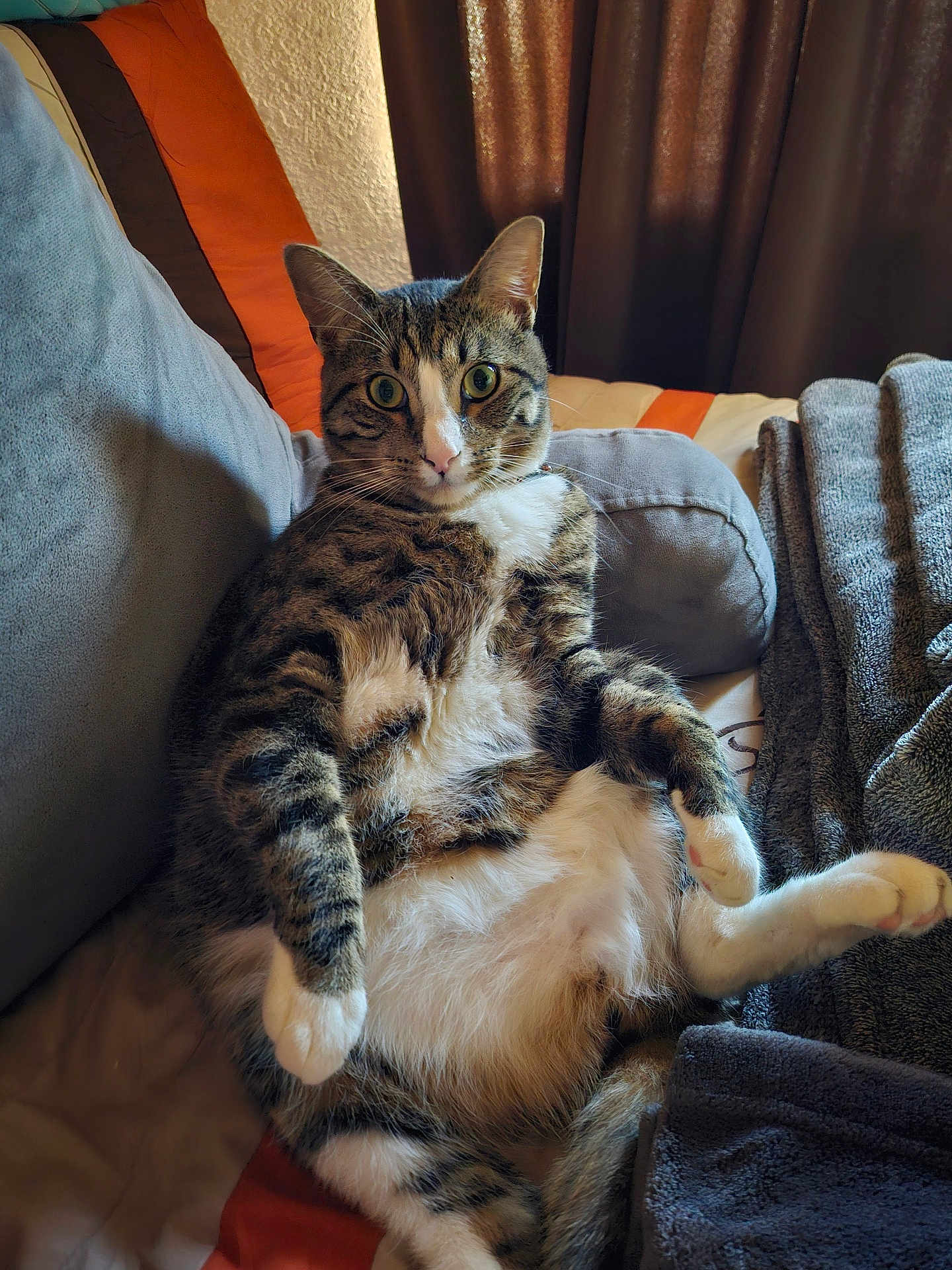 Augustus