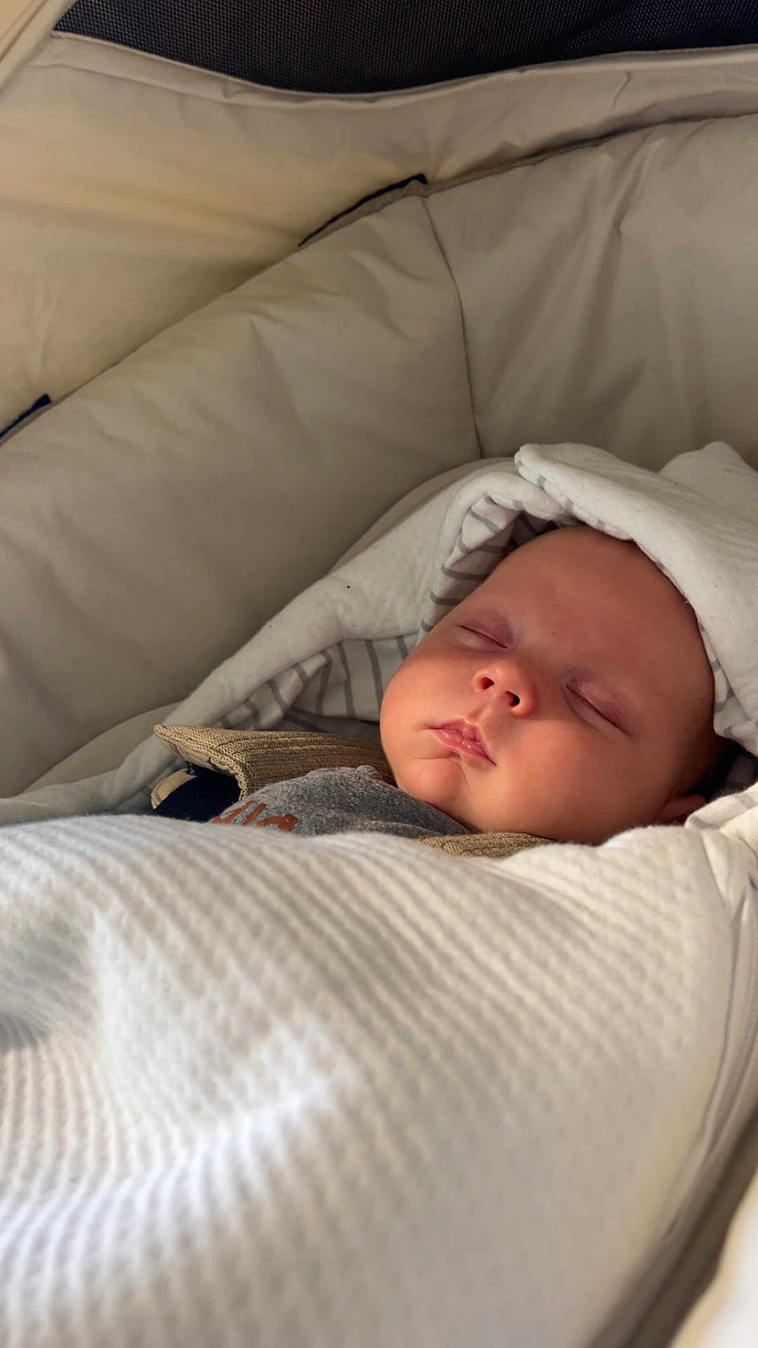 Néo a rejoint le concours — aidez-le/la à gagner de superbes lots ! baby, infant, newborn, sleeping, blanket, swaddle, bedding, bassinet, hood, cheeks, face, closeup, portrait, cozy, peaceful, indoor, soft_texture, striped_pattern, nap, cute