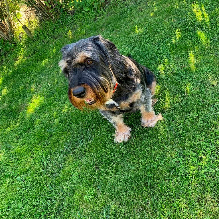 Ludzie