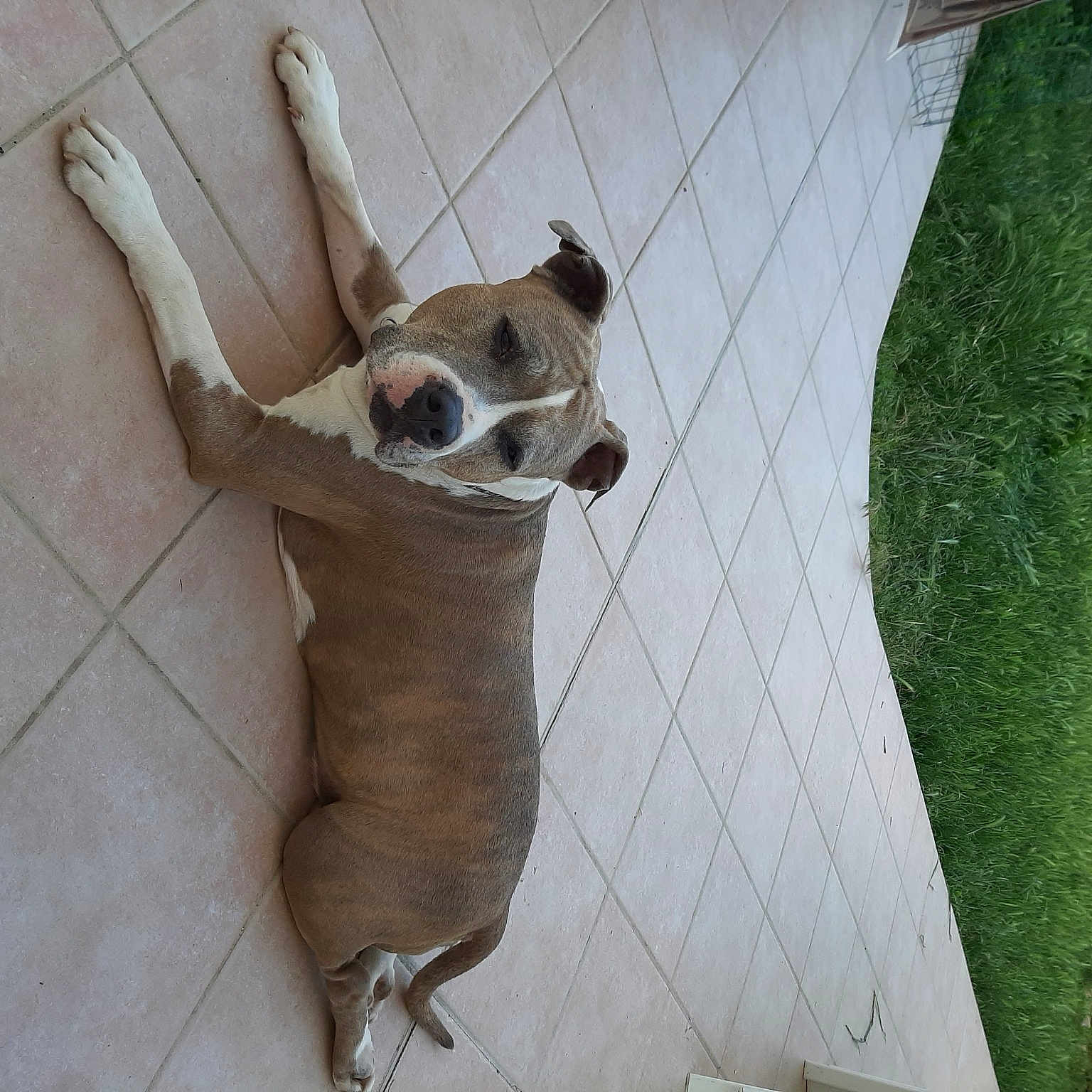 Keyser