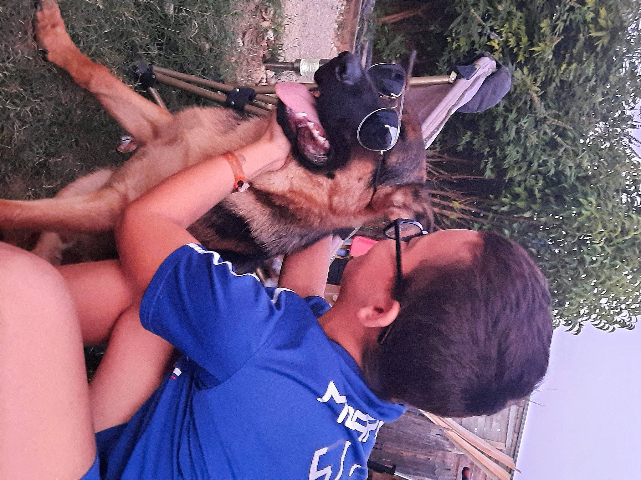 Spike a rejoint le concours — aidez-le/la à gagner de superbes lots ! carnivore, cool, dog, elbow, eyewear, fawn, fun, gesture, glasses, grass, happy, human_body, human_leg, leisure, nail, recreation, sunglasses, thigh, tree, wrist