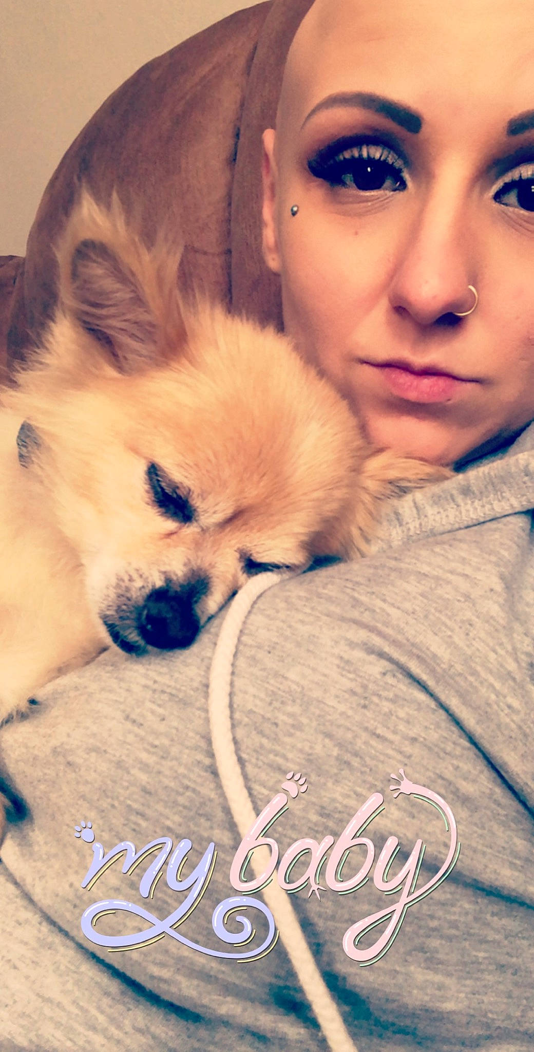 Gizzy Bean joined the competition — help win amazing prizes! canidae, carnivore, cloud, companion_dog, corgi_chihuahua, dog, dog_breed, dog_supply, eyelash, fawn, fur, german_spitz, german_spitz_mittel, happy, nose, pomeranian, puppy_love, spitz, toy_dog, whiskers