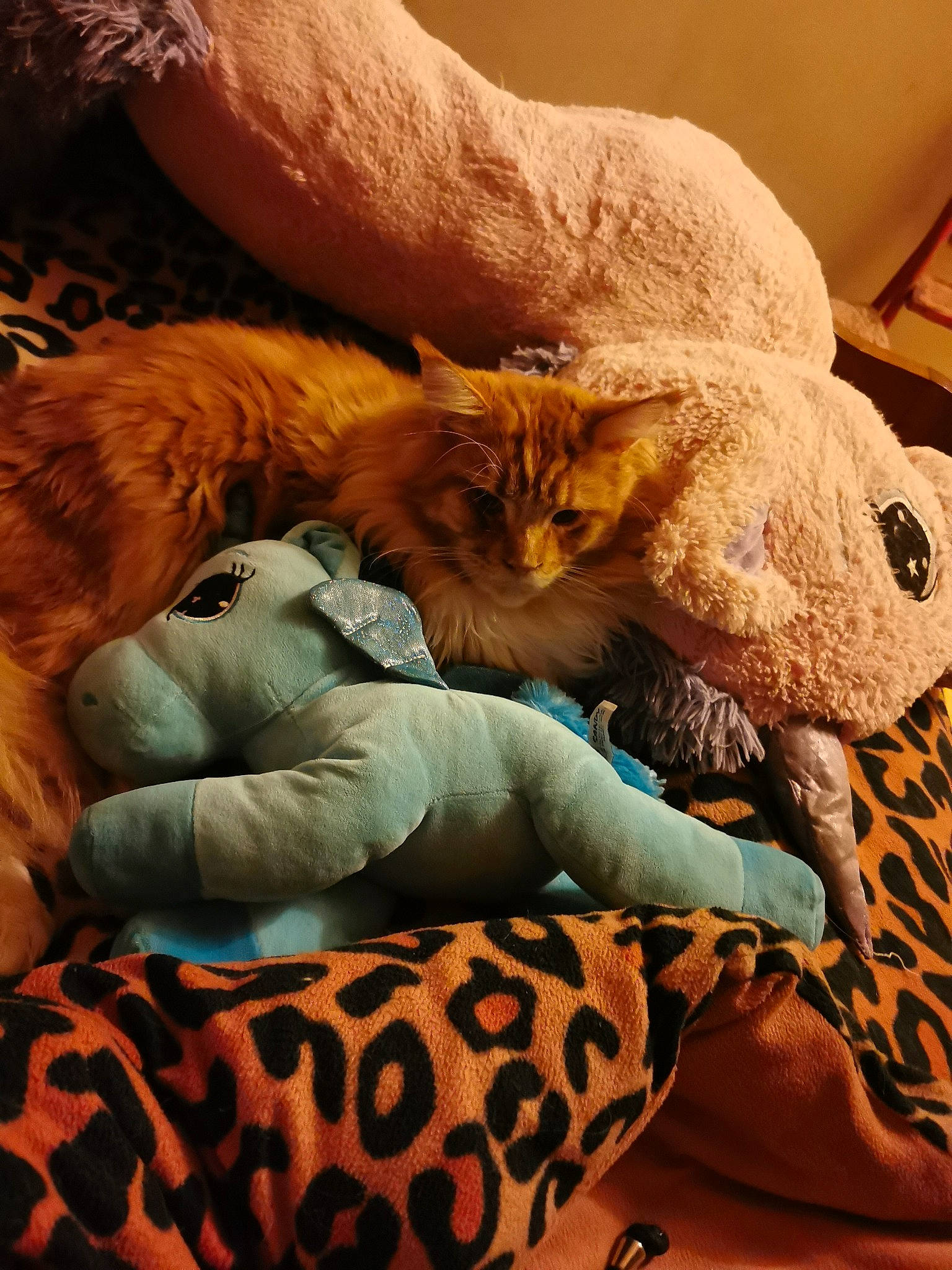 Elias a rejoint le concours — aidez-le/la à gagner de superbes lots ! bag, bed, bedding, carnivore, cat, claw, comfort, domestic_short_haired_cat, fawn, felidae, fur, linens, nap, paw, room, small_to_medium_sized_cats, tail, whiskers, wildlife, wood