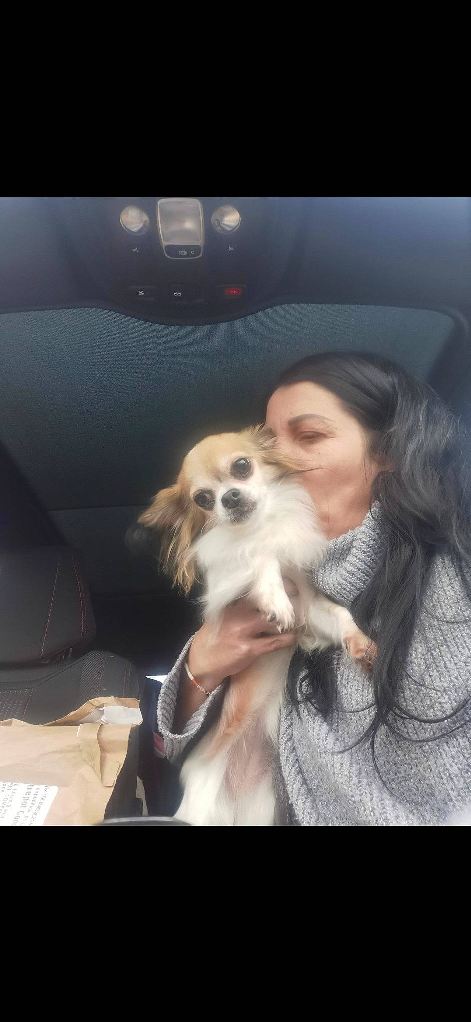 Guess participe au concours pour gagner de l'argent avec cette photo : blond, canidae, carnivore, comfort, companion_dog, dog, dog_breed, dog_supply, ear, eyewear, fawn, fur, gesture, happy, smile, snout, sporting_group, sunglasses, toy_dog, whiskers