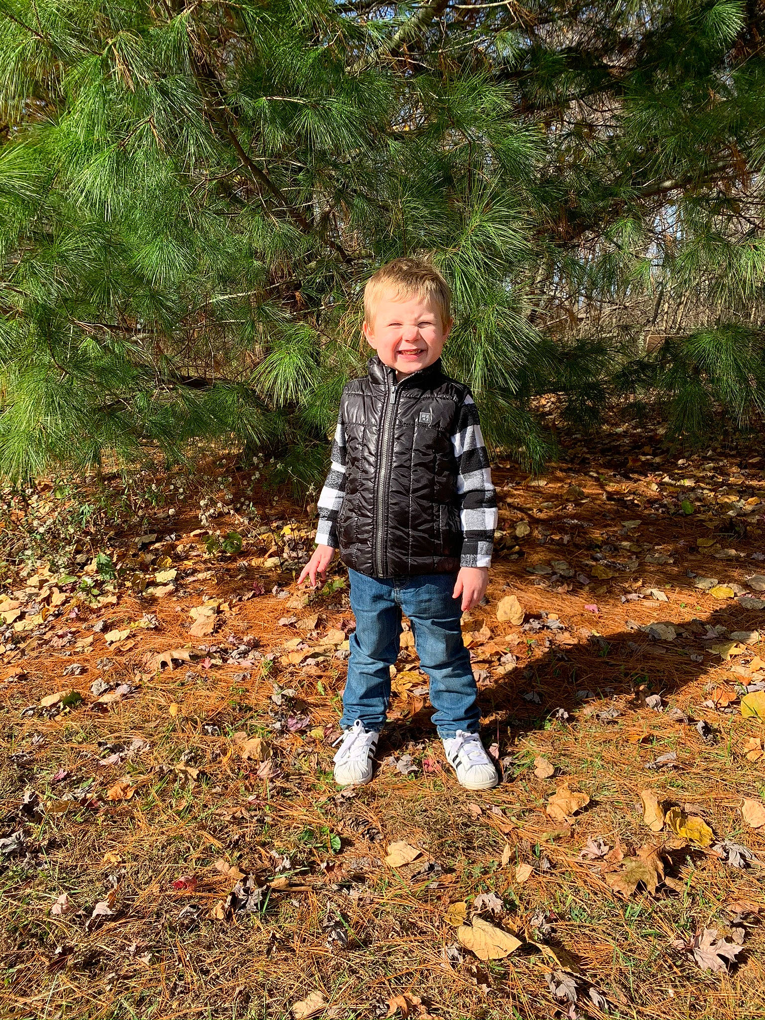 Kent is registered to the contest to win money with this photo: branch, deciduous, forest, gesture, grass, happy, landscape, leisure, natural_landscape, people_in_nature, person, plant, recreation, smile, soil, temperate_broadleaf_and_mixed_forest, toddler, tree, trunk, wood