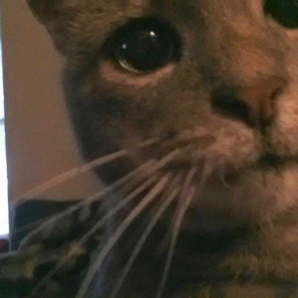 Madison is registered to the contest to win money with this photo: