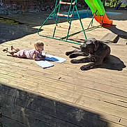 Agnar participe au concours pour gagner de l'argent avec cette photo : baby, child, dog, black_dog, backyard, deck, wooden_deck, playground, slide, pool, outdoor, sunlight, drawing, paper, pencil, lying_down, sitting_dog, brick_wall, summer, family