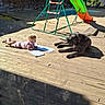 baby, child, dog, black_dog, backyard, deck, wooden_deck, playground, slide, pool, outdoor, sunlight, drawing, paper, pencil, lying_down, sitting_dog, brick_wall, summer, family