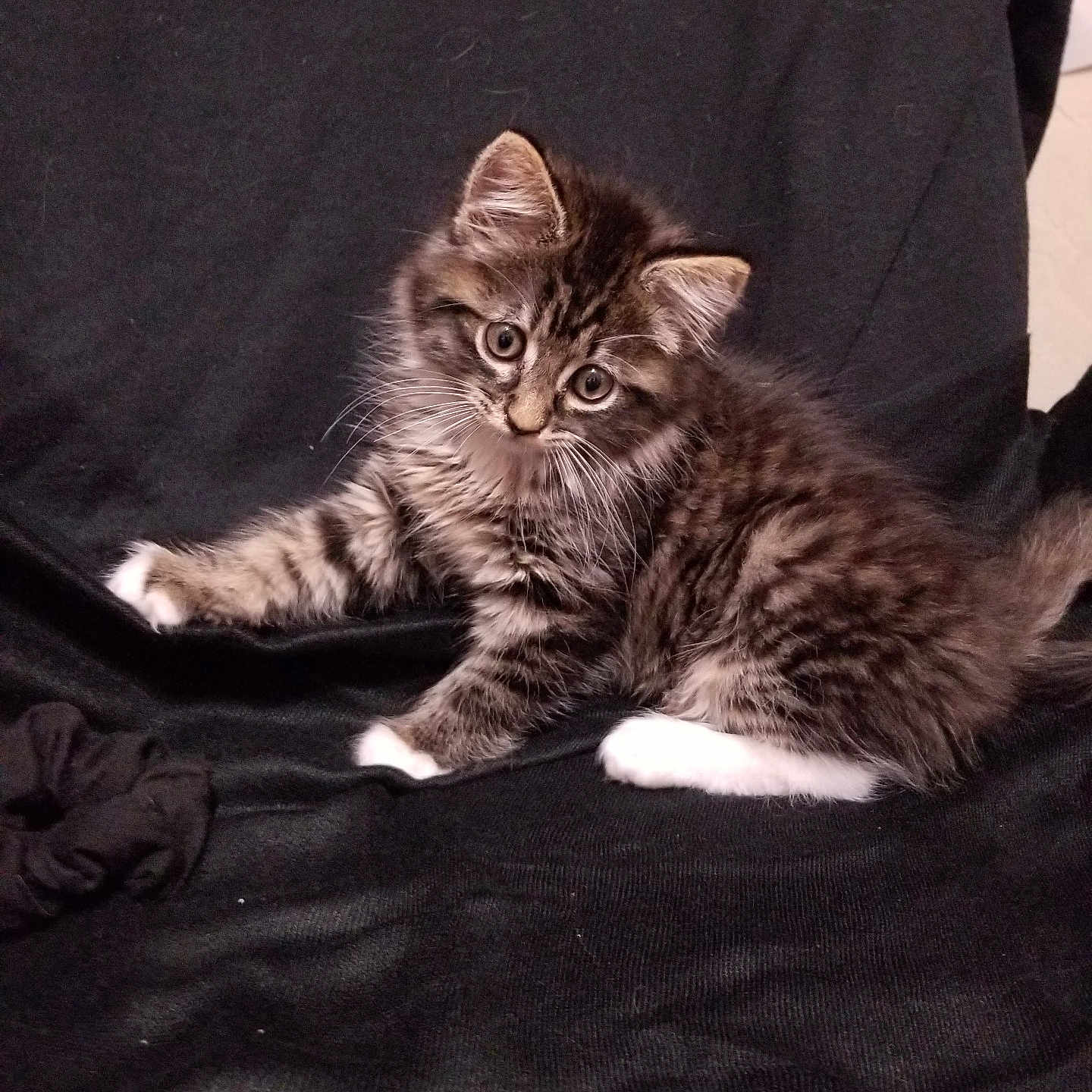 Lucifer