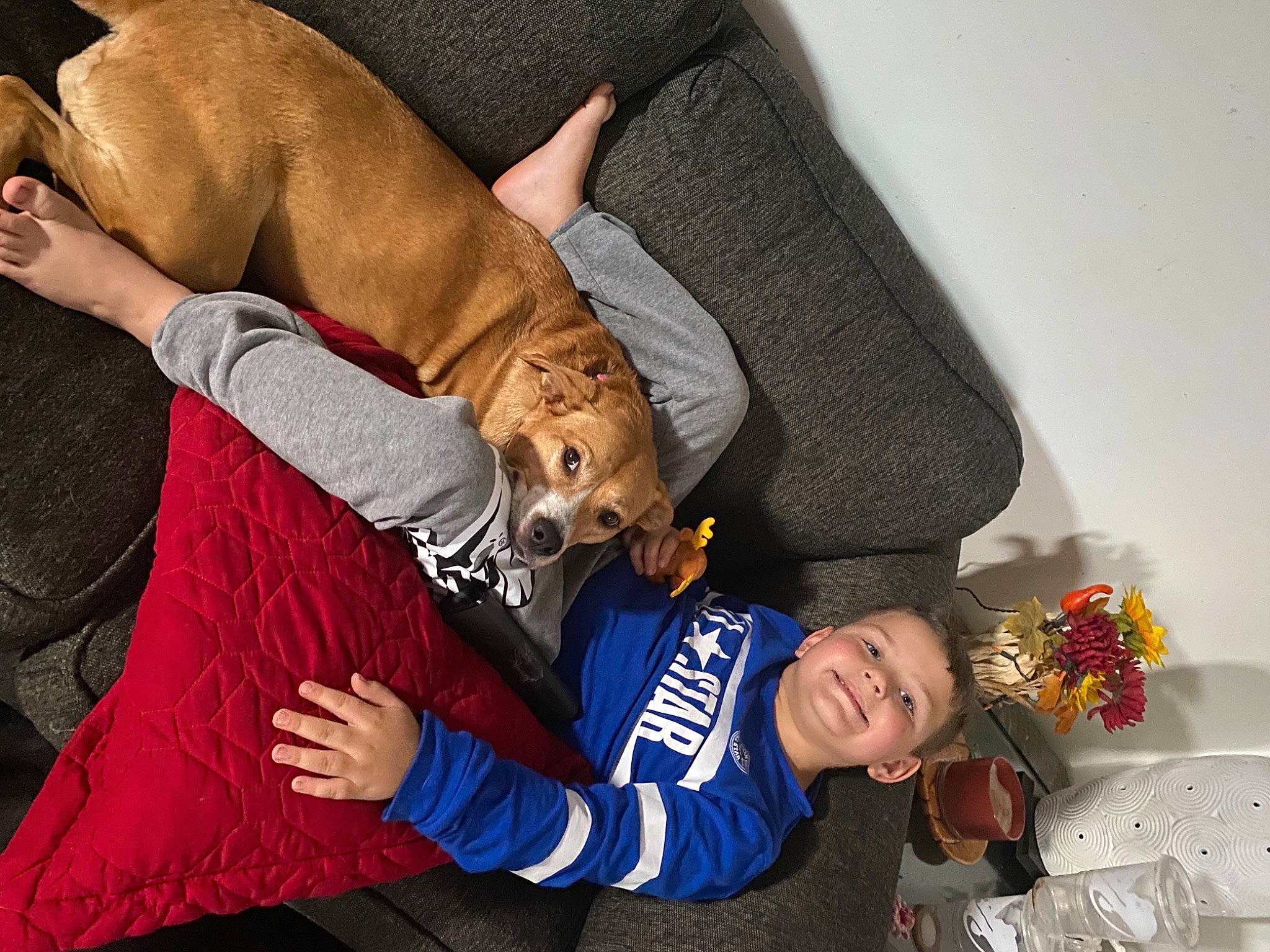 Jase joined the competition — help win amazing prizes! arm, canidae, carnivore, child, comfort, companion_dog, dog, dog_breed, event, fawn, fun, fur, happy, joy, knee, linens, nap, person, sitting, smile