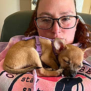 Sapphire Rose joined the competition — help win amazing prizes! bond, brown_dog, casual_clothing, close_up, comfort, couch, cute, dog, facial_expression, glasses, hoodie, human, indoor, person, pet, purple_harness, relaxation, resting, sleeping, young_adult