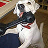 Funky participe au concours pour gagner de l'argent avec cette photo :