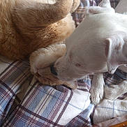 Aurele participe au concours pour gagner de l'argent avec cette photo :