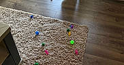 Garfield joined the competition — help win amazing prizes! cat, cats, kitten, ginger_cat, dark_cat, pet, animal, indoor, hallway, wood_floor, rug, cat_toys, colorful_toys, doorway, window, sunlight, home, scratching_post, playful, photography