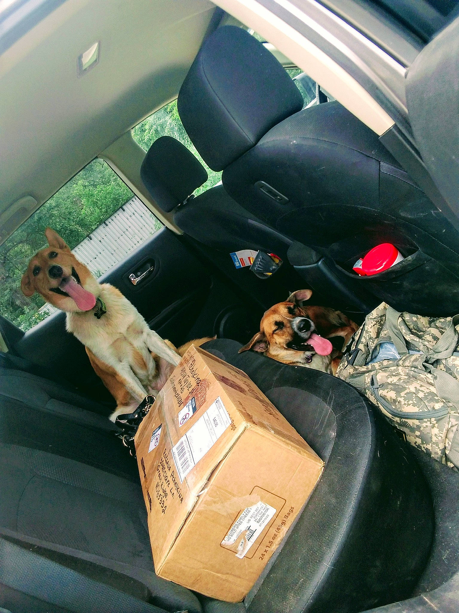 Cooper joined the competition — help win amazing prizes! auto_part, automotive_design, automotive_exterior, automotive_mirror, automotive_tire, bag, car, car_seat, car_seat_cover, gesture, head_restraint, luggage_and_bags, motor_vehicle, personal_luxury_car, plant, steering_wheel, tints_and_shades, vehicle, vehicle_door, window