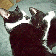 Mya participe au concours pour gagner de l'argent avec cette photo :