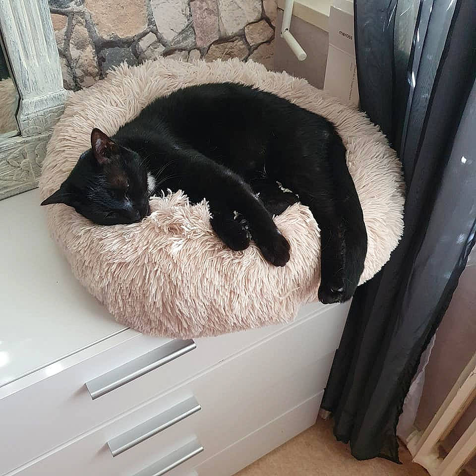 Nala